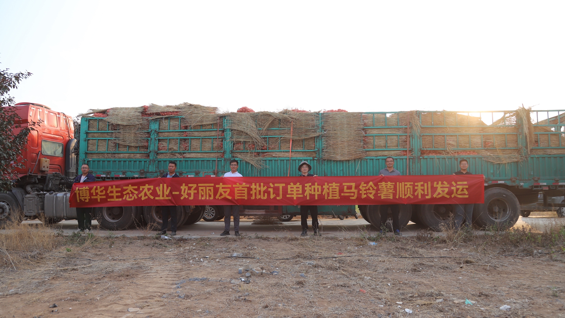 攜手夥伴聯(lián)融共贏，博華訂單式種植馬鈴薯喜獲豐收
